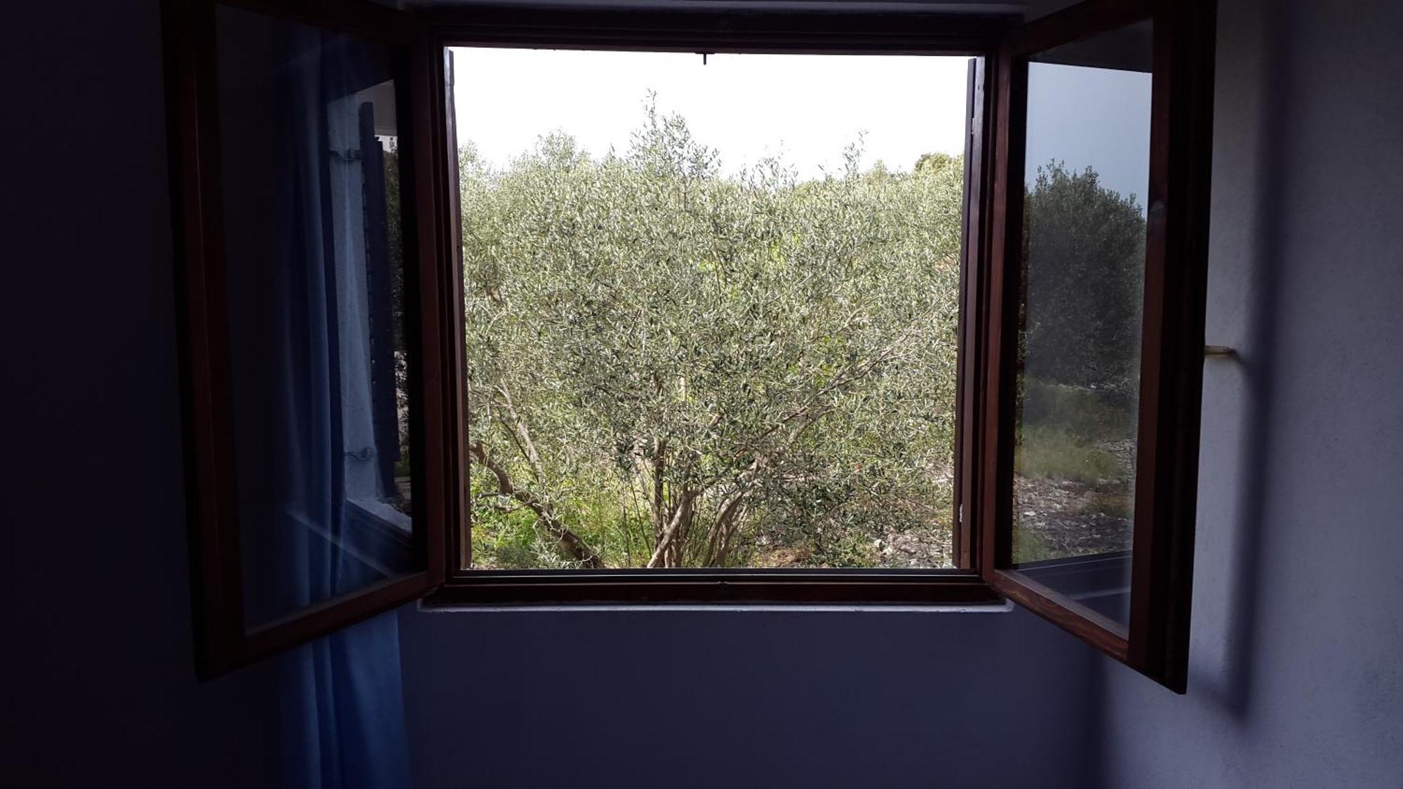 Apartments Vrvilo Rogoznica  Room photo